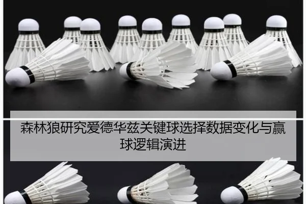 森林狼研究爱德华兹关键球选择数据变化与赢球逻辑演进