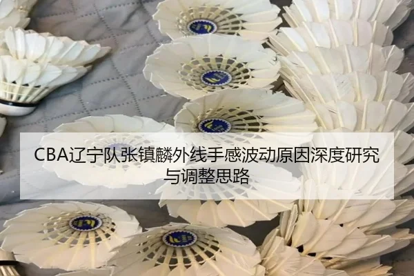 CBA辽宁队张镇麟外线手感波动原因深度研究与调整思路