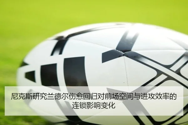 尼克斯研究兰德尔伤愈回归对前场空间与进攻效率的连锁影响变化