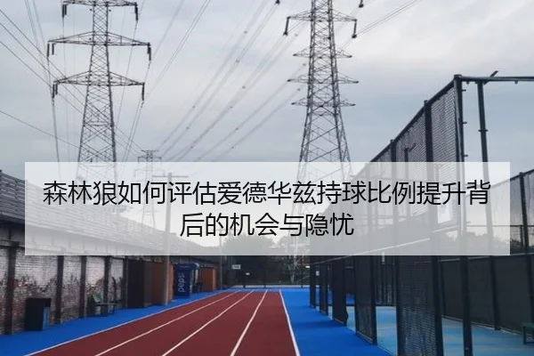 森林狼如何评估爱德华兹持球比例提升背后的机会与隐忧