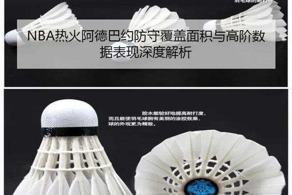 NBA热火阿德巴约防守覆盖面积与高阶数据表现深度解析