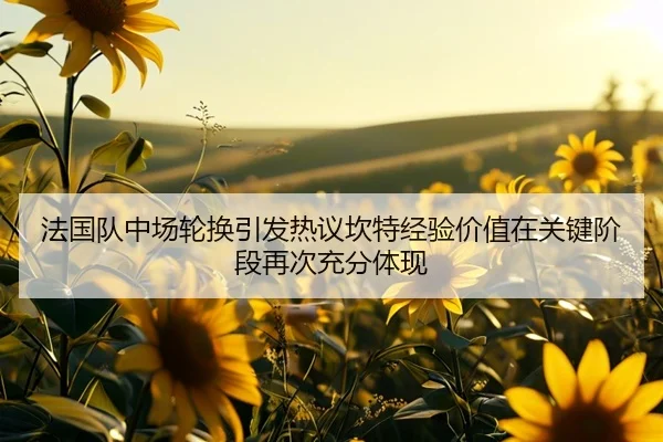 法国队中场轮换引发热议坎特经验价值在关键阶段再次充分体现